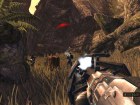 Turok
