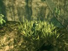 Metal Gear Solid 3: Subsistence
