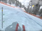 Alpine Ski Racing 2007