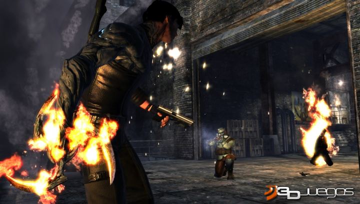 Dark Sector