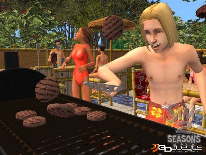 Los Sims 2: Las Cuatro Estaciones