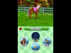 Pony Friends