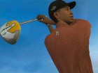 Tiger Woods PGA Tour 08