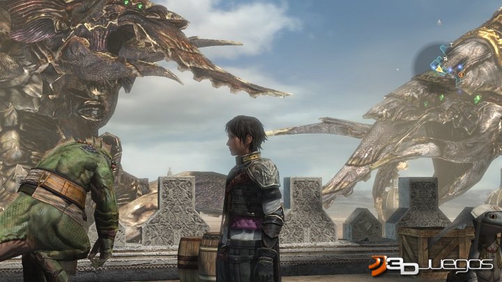 The Last Remnant
