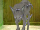 Tales of Symphonia: Dawn of the New World