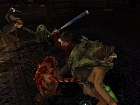 Las Crónicas de Spiderwick