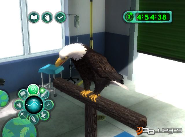 Zoo Hospital