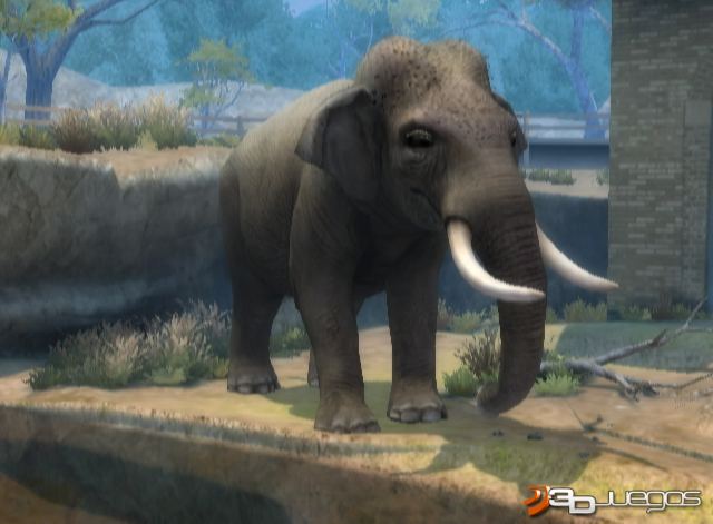 Zoo Hospital