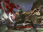 Ninja Gaiden 2