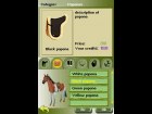 My Horse and Me