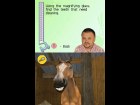 My Horse and Me