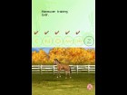 My Horse and Me