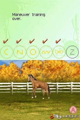 My Horse and Me