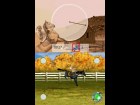 My Horse and Me