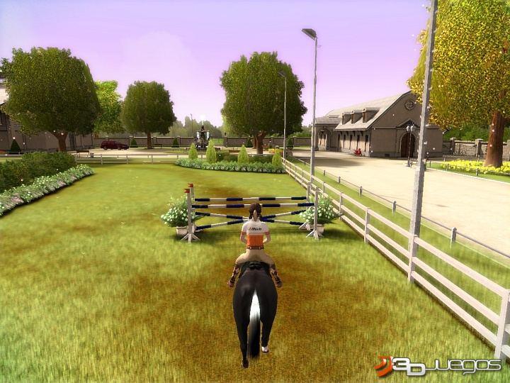 My Horse and Me