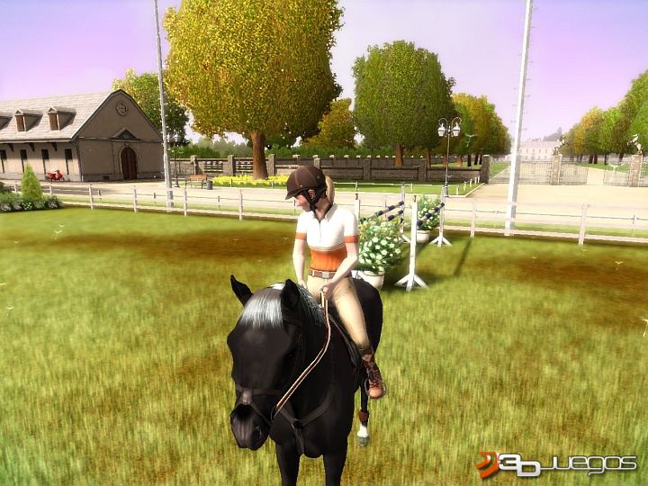 My Horse and Me