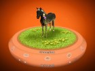 My Horse and Me