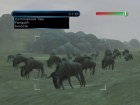 Wild Earth: African Safari