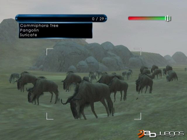 Wild Earth: African Safari