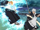 Bleach Heat The Soul 5