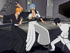 Bleach Heat The Soul 5