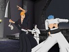 Bleach Heat The Soul 5