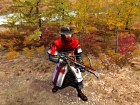 The Golden Horde