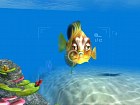 Sea Life Safari