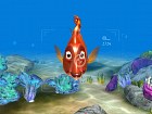 Sea Life Safari