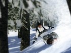 Shaun White Snowboarding