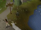 RuneScape