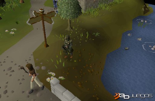 RuneScape